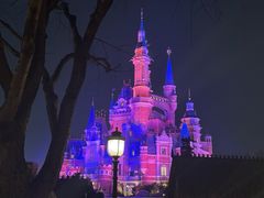 -麦新格精品酒店(上海国际旅游度假区川沙地铁站店)