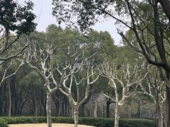 -黄兴公园