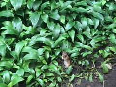 -黑龙江省森林植物园