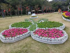 -野狸岛