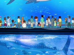 -烟台海昌鲸鲨海洋公园