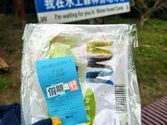 -上海海湾国家森林公园