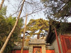 -潭柘寺景区