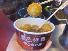-黑色经典臭豆腐·湖南特产(坡子街店)