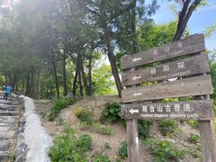 -阳台山自然风景区