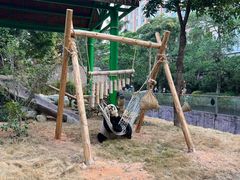 -灵玲国际马戏城