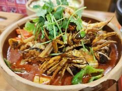 -丈母娘的饭局•新金陵菜(牛首山店)
