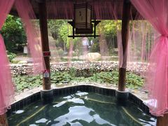 -观唐（国际）度假村温泉