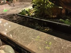 -臻品足道(佛祖岭店)