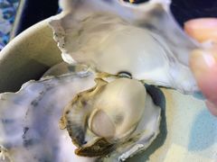 -千岛蚝高压锅生蚝·人参火锅(白云万达店)