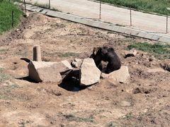 -青藏高原野生动物园