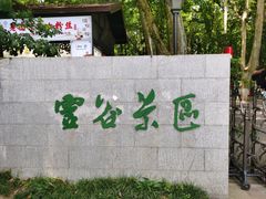 -灵谷景区