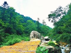 -天柱山风景区