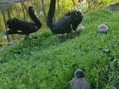 -长白岛森林公园