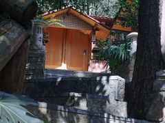-云涛森林温泉