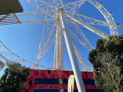 -墨尔本之星 观景摩天轮