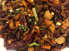 -巴渝兄弟川菜(宽街店)