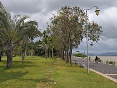 -深圳湾公园(南山区)