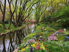 -上海共青森林公园