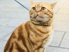 门面-西关84·History·Art·Cafe