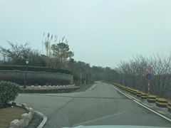 -羊山湖公园