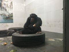 -西安秦岭野生动物园