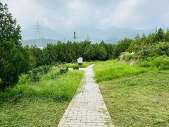 -白水寺森林公园