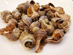 白灼海螺-味可道·黄圃人家园林酒家(兆丰店)