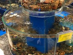 水产区-新海渔港·胶东海鲜家常菜·家宴(奥体中心店)