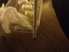 -新紫霞养生·影院足道·SPA(金山区店)