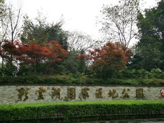 -重庆彩云湖湿地公园