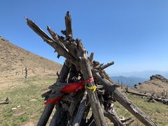 -朱雀国家森林公园