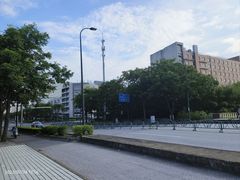-上海中医药大学附属曙光医院(东部)