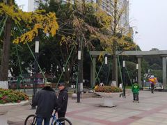 -温江公园