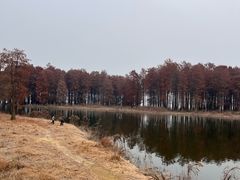 -四明湖