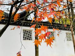 -苏州上方山国家森林公园