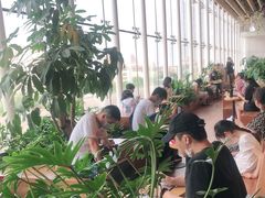 -Seesaw Coffee(朝阳大悦城店)