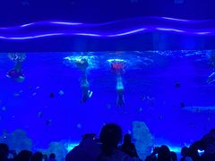 -石家庄极地海洋世界