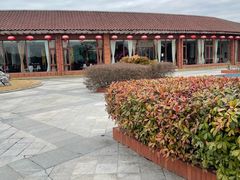 -上海都市菜园