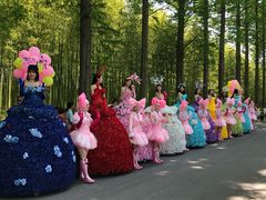 -黄海国家森林公园