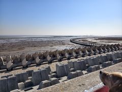 -南汇嘴观海公园