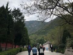 -青岛崂山太清宫