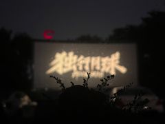 -枫花园汽车电影院(朝阳公园店)