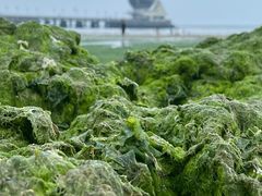 -ChanDu躔度咖啡(灯塔店)