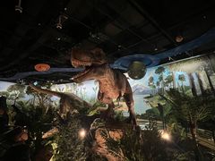 -陕西自然博物馆