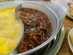 -青瓷火锅料理(西单大悦城店)