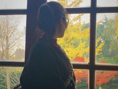 -金山农民画村-枫泾波兰倒置屋