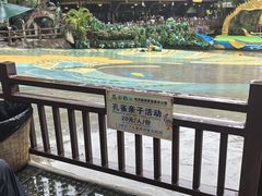 -西双版纳原始森林公园
