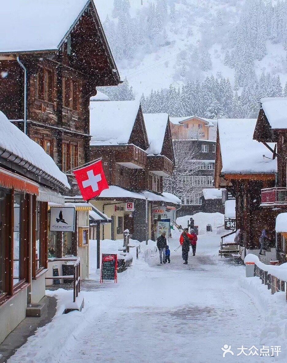 瑞士下雪啦… 去看场雪吧