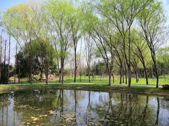 -白塔湖国家湿地公园